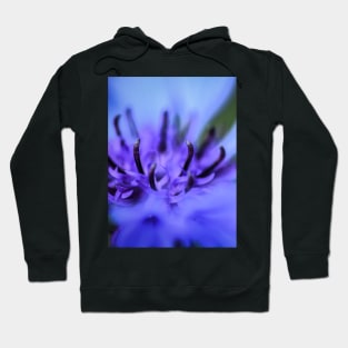 Cornflower Hoodie